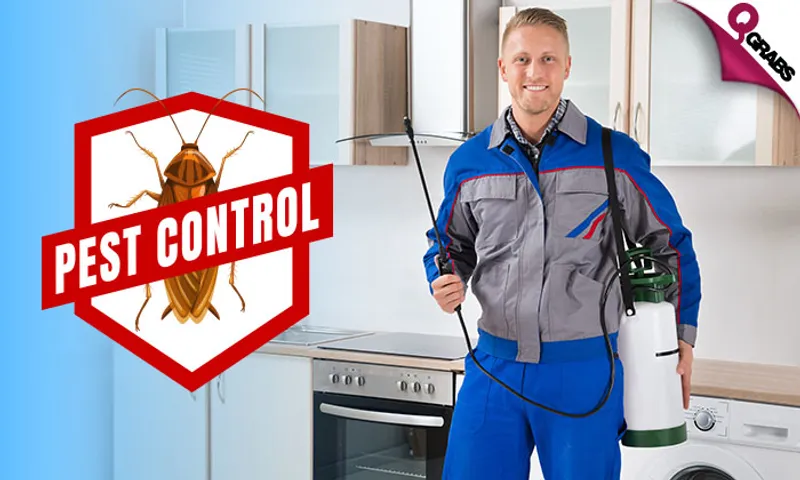 Pest Control: Cockroach & Bedbug Treatment Services!